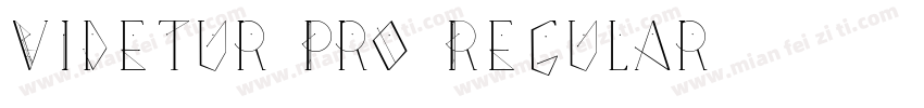 Videtur Pro Regular字体转换